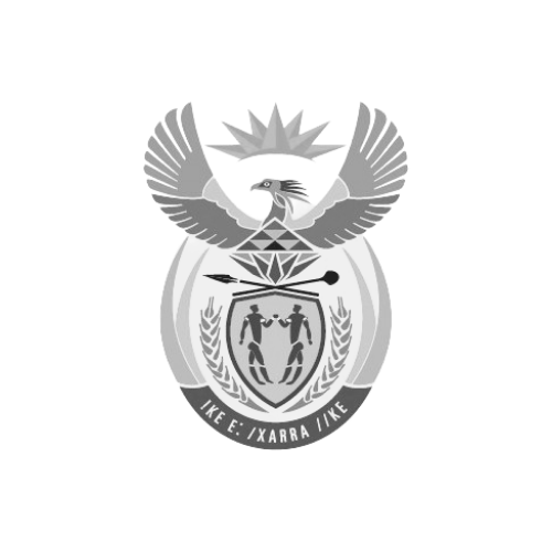 South African Government